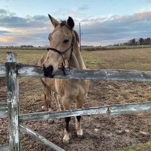 Meet your Posher, Nicole